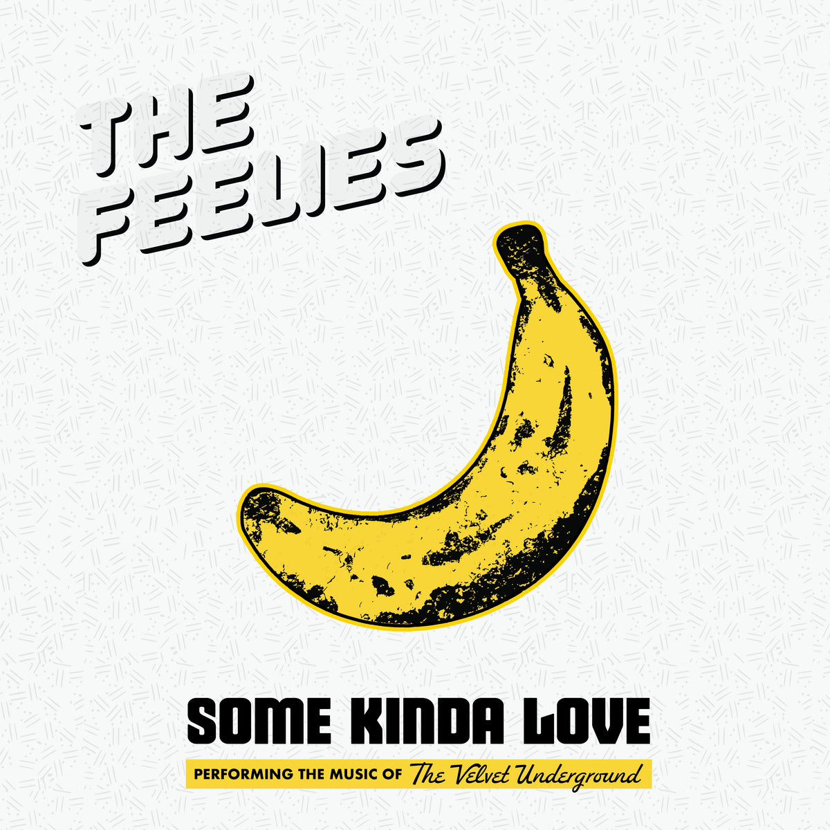 The Feelies Some Kinda Love Performing The Music of The Velvet Underground 2LP